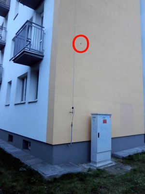 Ulica Sąchocka 3. Usytuowanie osobnika na ścianie budynku