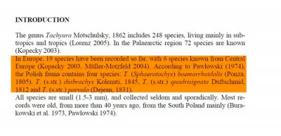 NEW RECORD OF TACHYURA PARVULA (DEJEAN, 1831).JPG