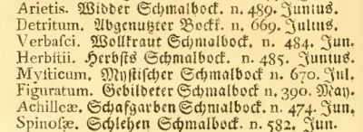 herbstii_Brahm 1790.png