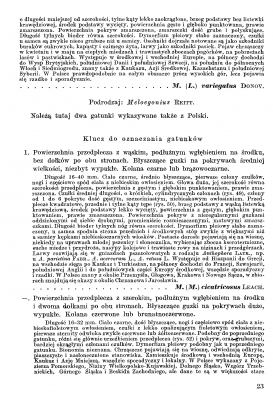 Meloidae - Klucz 1987 Stebnicka _Strona_4.png