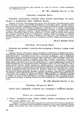 Meloidae - Klucz 1987 Stebnicka _Strona_5.png