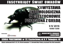 12 plakat mały.jpg