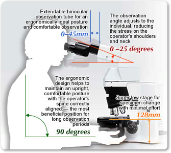 p06_01_Large.jpg