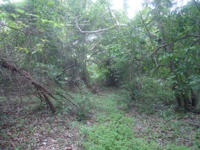 Środek Tanji Bird Reserve.jpg