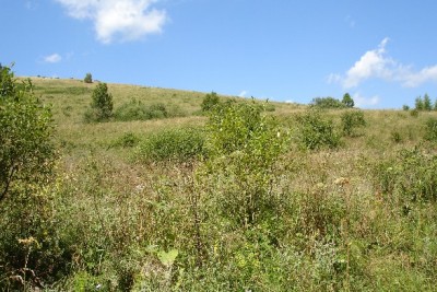 Podkarpackie, sierpień 2006r.