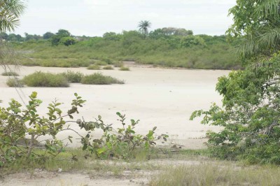 Łachy piachu starego koryta rzeki na południu Tanji Bird Reserve.jpg