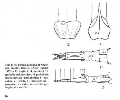 Strony od !Longhorn_(Cerambycidae)_of_Fennoscandia_and_DK_with_KEY [OCR]_Strona_2 - Copy.jpg