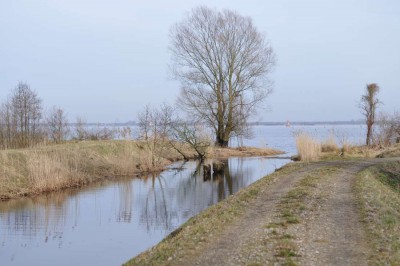 Ujście kanału do Roztoki Odrzańskiej przy Uniemyślu