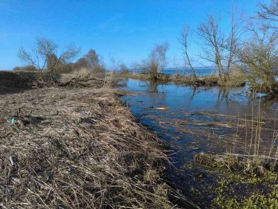 Woda przy Zalewie - okresowo pojawiająca się woda między wałem przeciwpowodziowym a wodami Zalewu ( jego początkowej Roztoki Odrzańskiej )