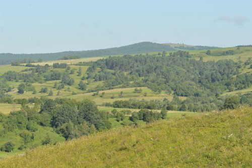 Pogórze Przemyskie - Lipiec 2017.jpg