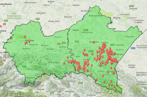 M. dryas - 12.08.2017 (Widaczów ect).jpg