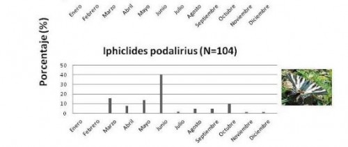 Fenologia I. podaliirtius..jpg