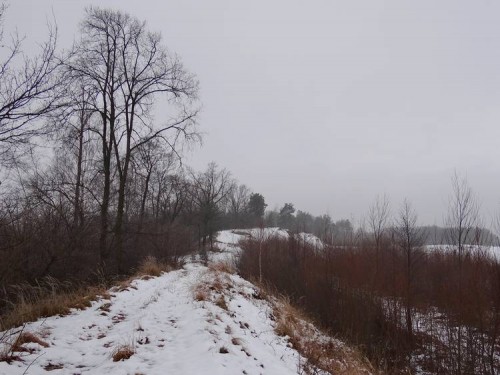 Skarpa nad Mleczną_Radom-Wincentów.jpg