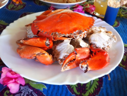 Po nurkowaniu na lunch dostaliśmy wielkiego, pięknego kraba.