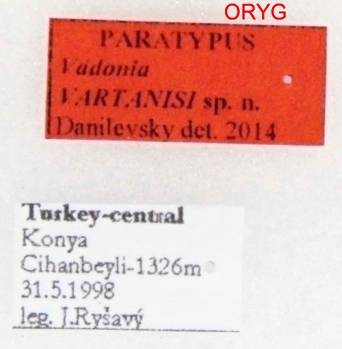 V_vartanisi labels_ORYG DAN.JPG