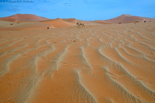 Okolice Deadvlei.