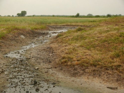 Szczerbaków -słone źródło.JPG