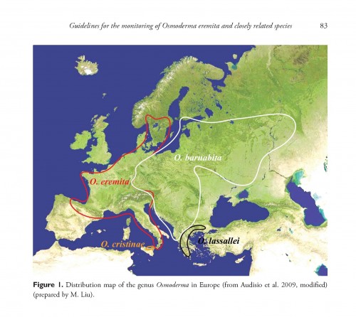 osmoderma_in_europe 2017.jpg