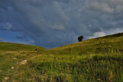 krzyż.jpg