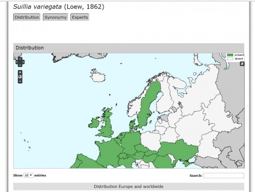 variegata_PL.jpg