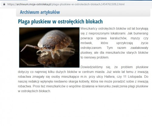 plaga pluskiew.jpg