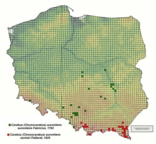 mapa auro..jpg