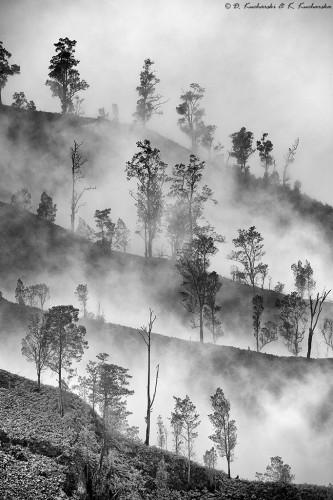 Mgły na stokach Wulkanu Ijen.