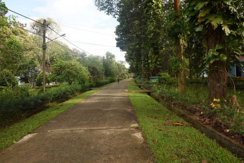 Główna droga przy siedzibie parku.