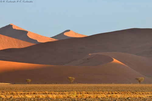 Wydmy Sossusvlei.