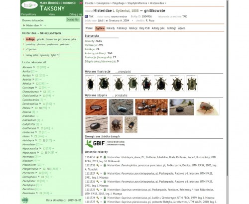 Screenshot_2019-06-05 Histeridae ← Mapa Bioróżnorodności Taksony Ogólnie.jpg