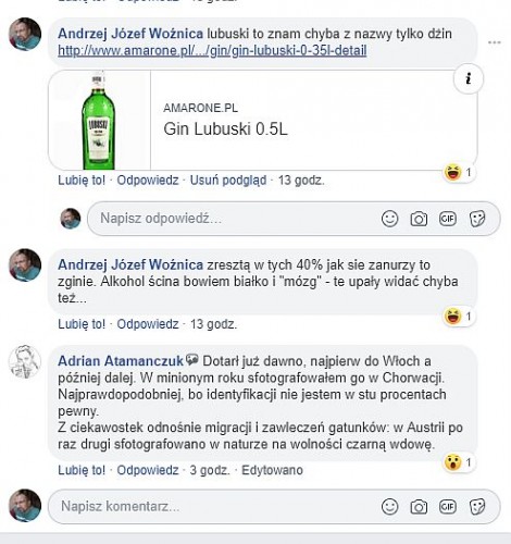 lubuski_gin.jpg