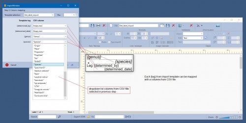 Tags_mapping_importCSV.jpg