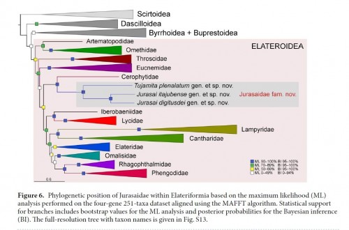 Jurasaidae 6.jpg