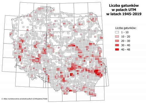 statystyki_pol_1945-2019_gatunki_1.jpg