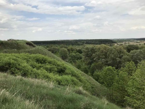 Zbocza kolo torów - zarośniete wysoką trawą