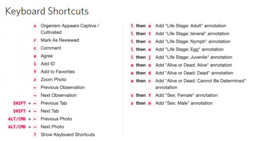 inat shortcuts.png