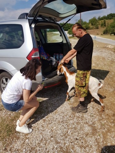 Wybrane, ciekawsze kozy ładowaliśmy do bagażnika. :-)