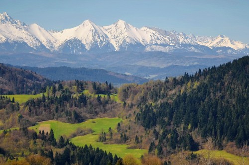 Tatry z Wysokiej.JPG