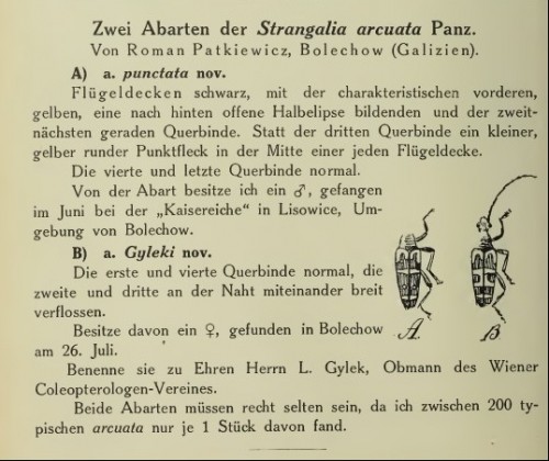 Patkiewicz 1915 .jpg