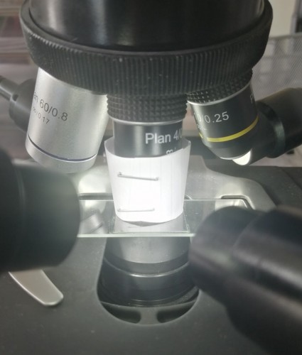 Mój &quot;zestaw&quot; do fotografii w świetle odbitym przy użyciu mikroskopu transmisyjnego (tzw. &quot;biologiczny&quot;).
