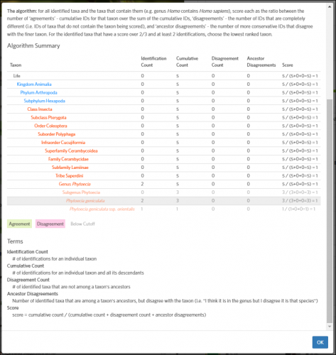 Screen 1 - iNAt ID  Scoring Phytoecia.png