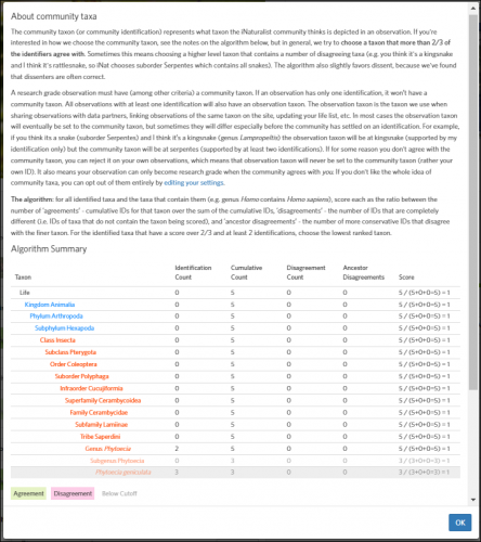 Screen 2 - iNAt ID  Scoring Phytoecia.png