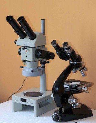 mikroskop i binokular.jpg