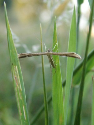 6 2010-08-04.jpg