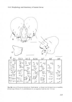 Fig-106a.jpg