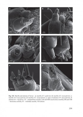 Fig-142a.jpg