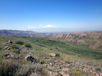 Widok na Ararat