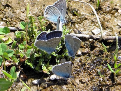 Armenia_033.JPG