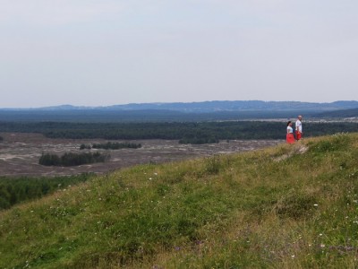 fragment pustyni wycięty w tym roku.JPG