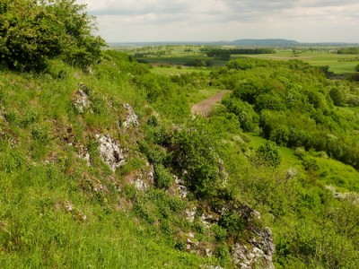 ...grzbiet z góry